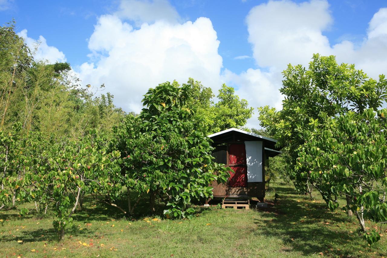 Kirpal Meditation And Ecological Center Pahoa Exterior photo